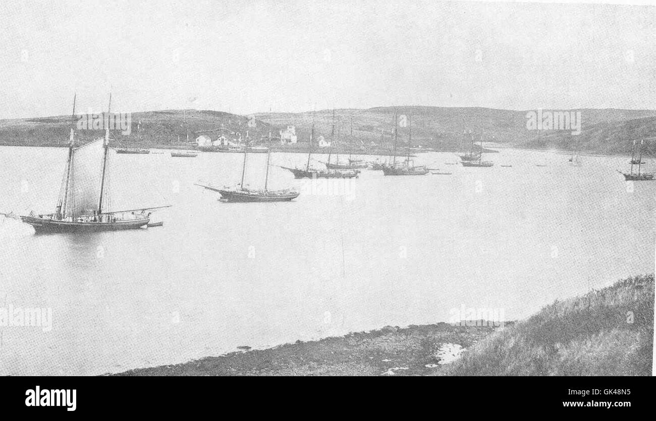 48357 Teil der pelagischen Abdichtung-Flotte auf Sand Point, Shumagin Islands, Juni 1893 Stockfoto