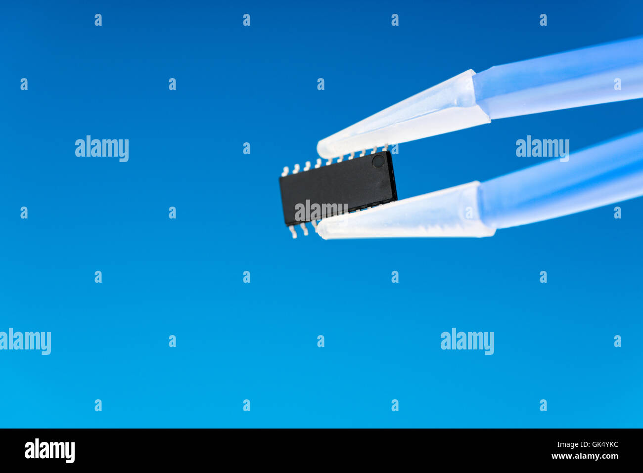 IC-Mikrochip in Pinzette, Silizium-Chip mit eines neuronalen Netzes Stockfoto
