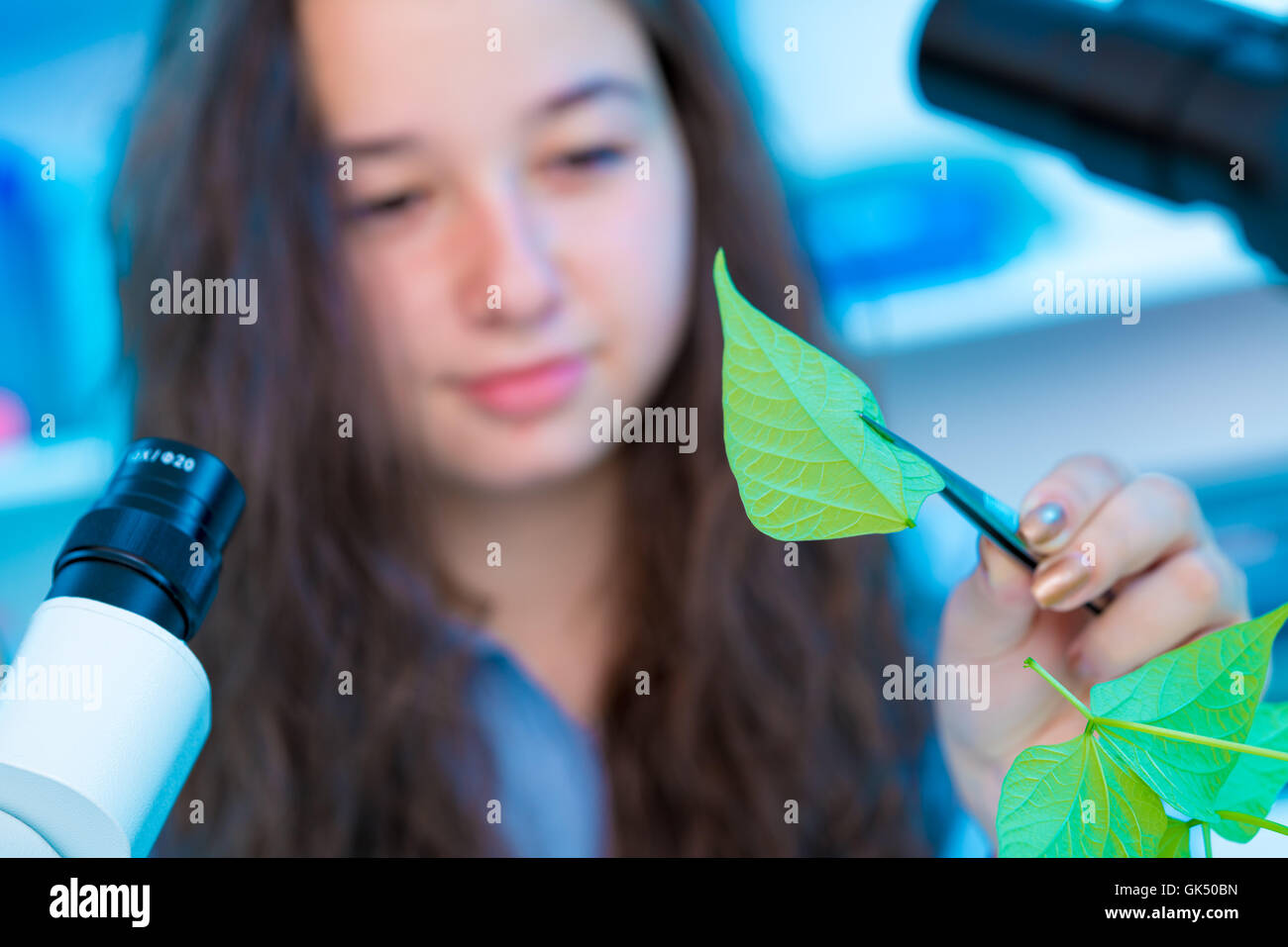 Grünes Blatt in Mädchen Hand in biologischen lernen Stockfoto