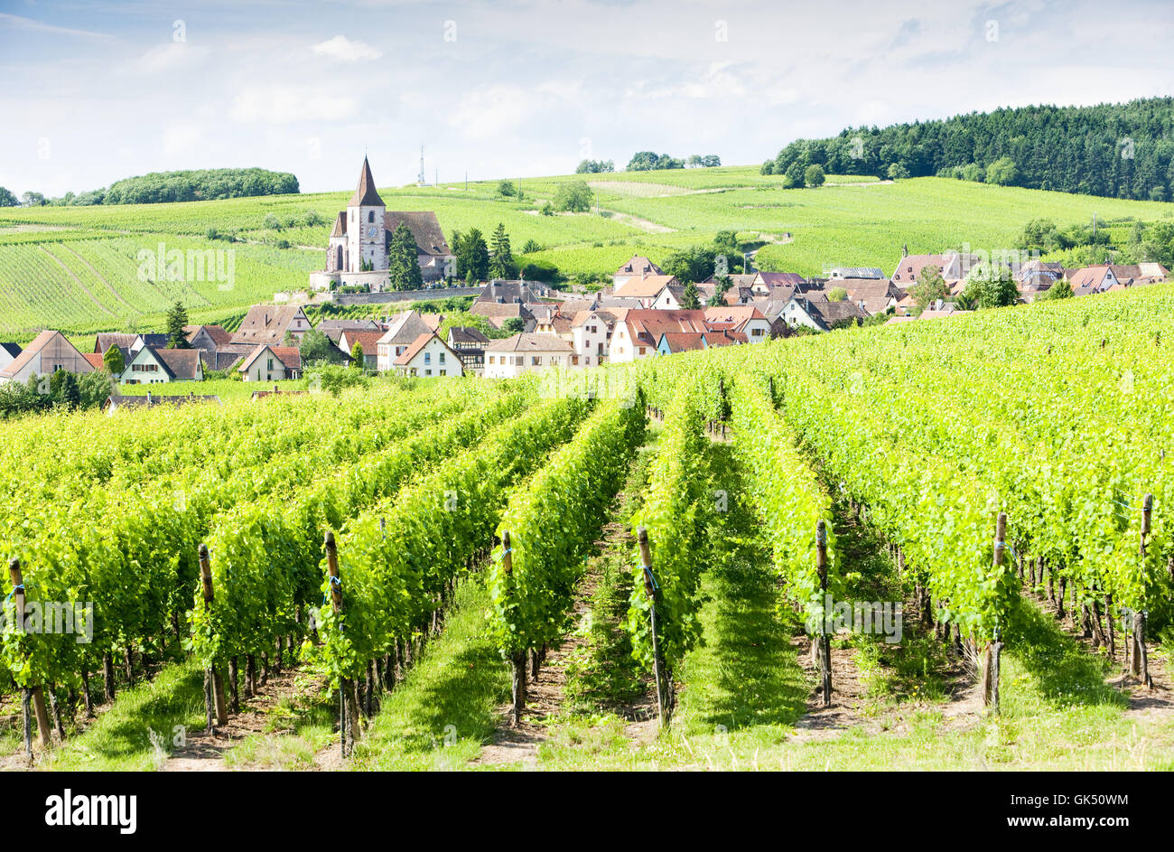 Wein Frankreich Reisen Stockfoto