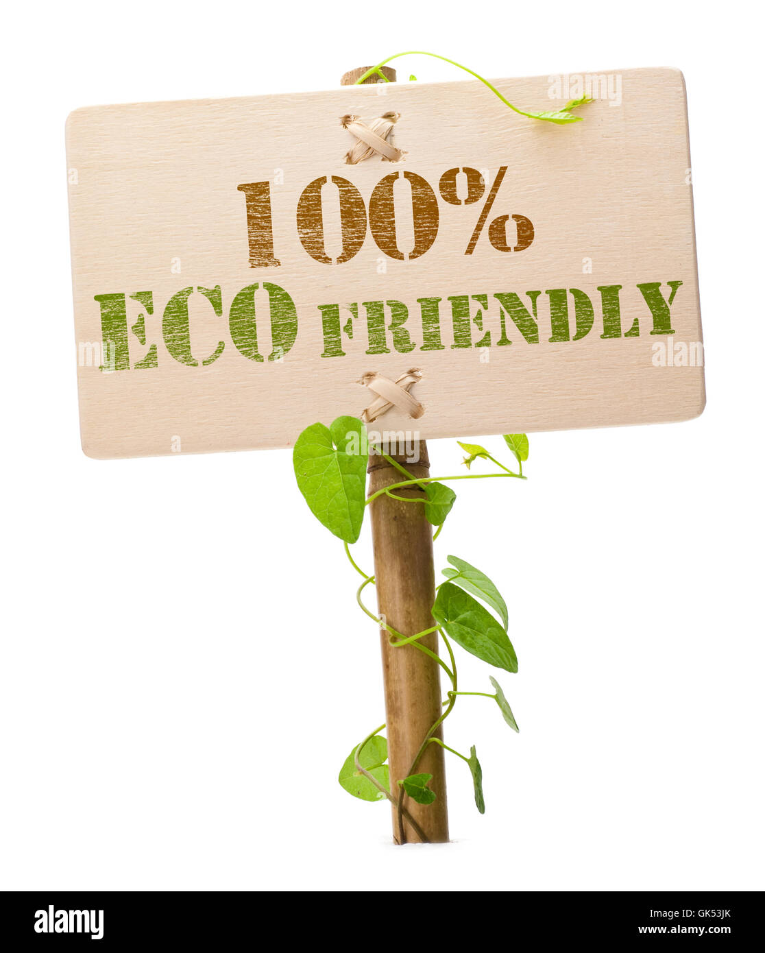 Blatt-Öko-Umwelt Stockfoto