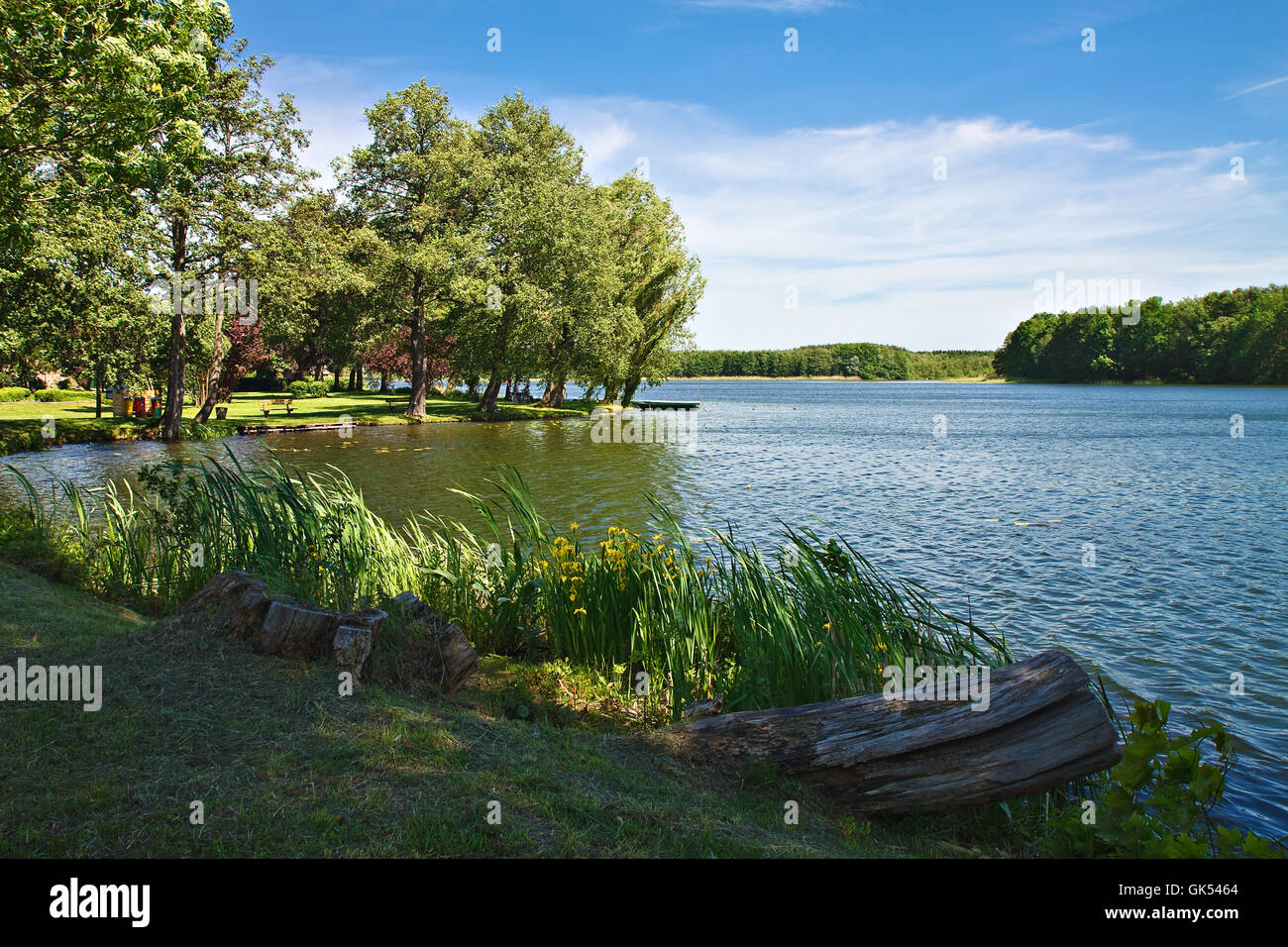 Feldberger seenlandschaft Stockfoto