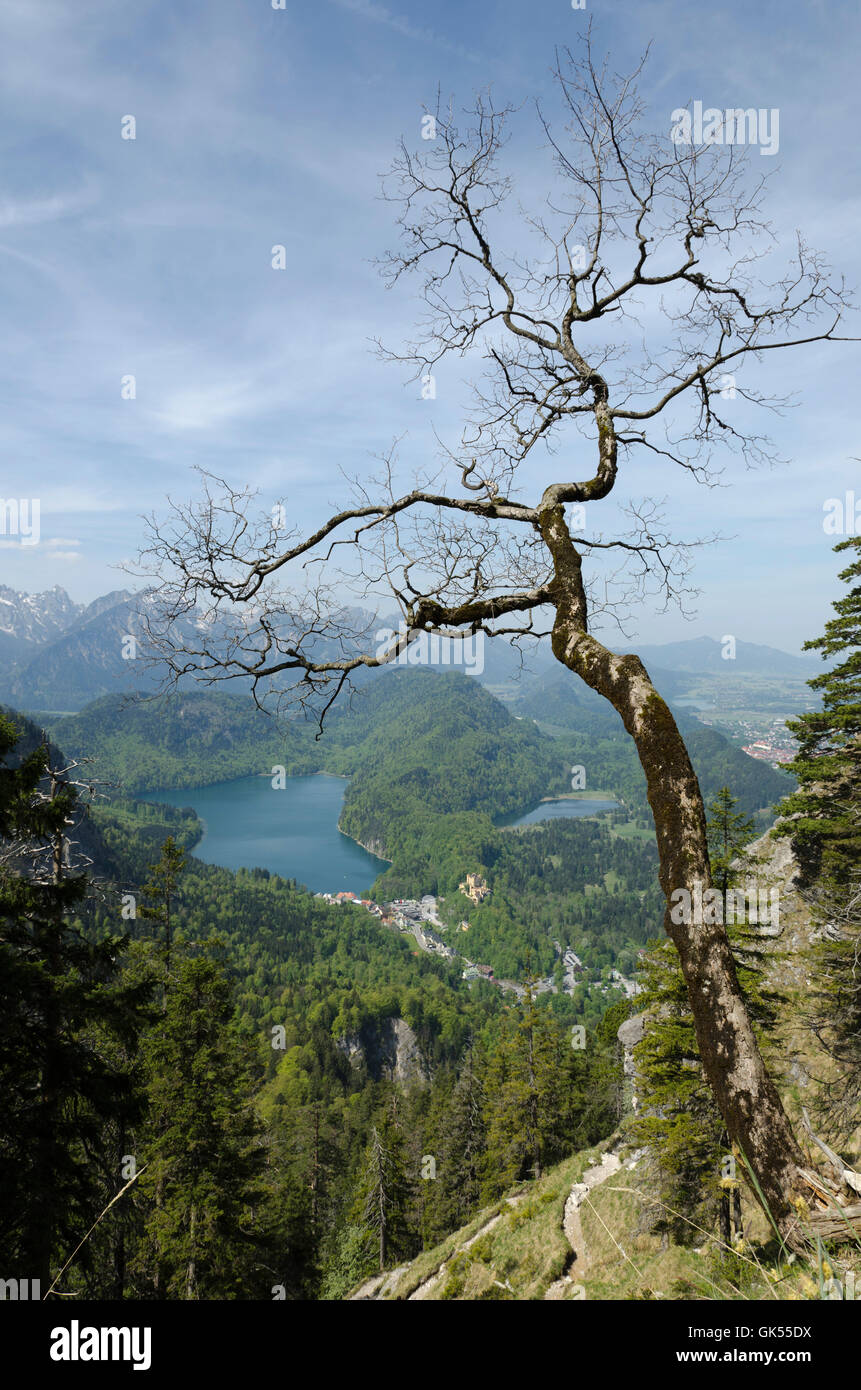 Berge-Alpen-Kaiser Stockfoto