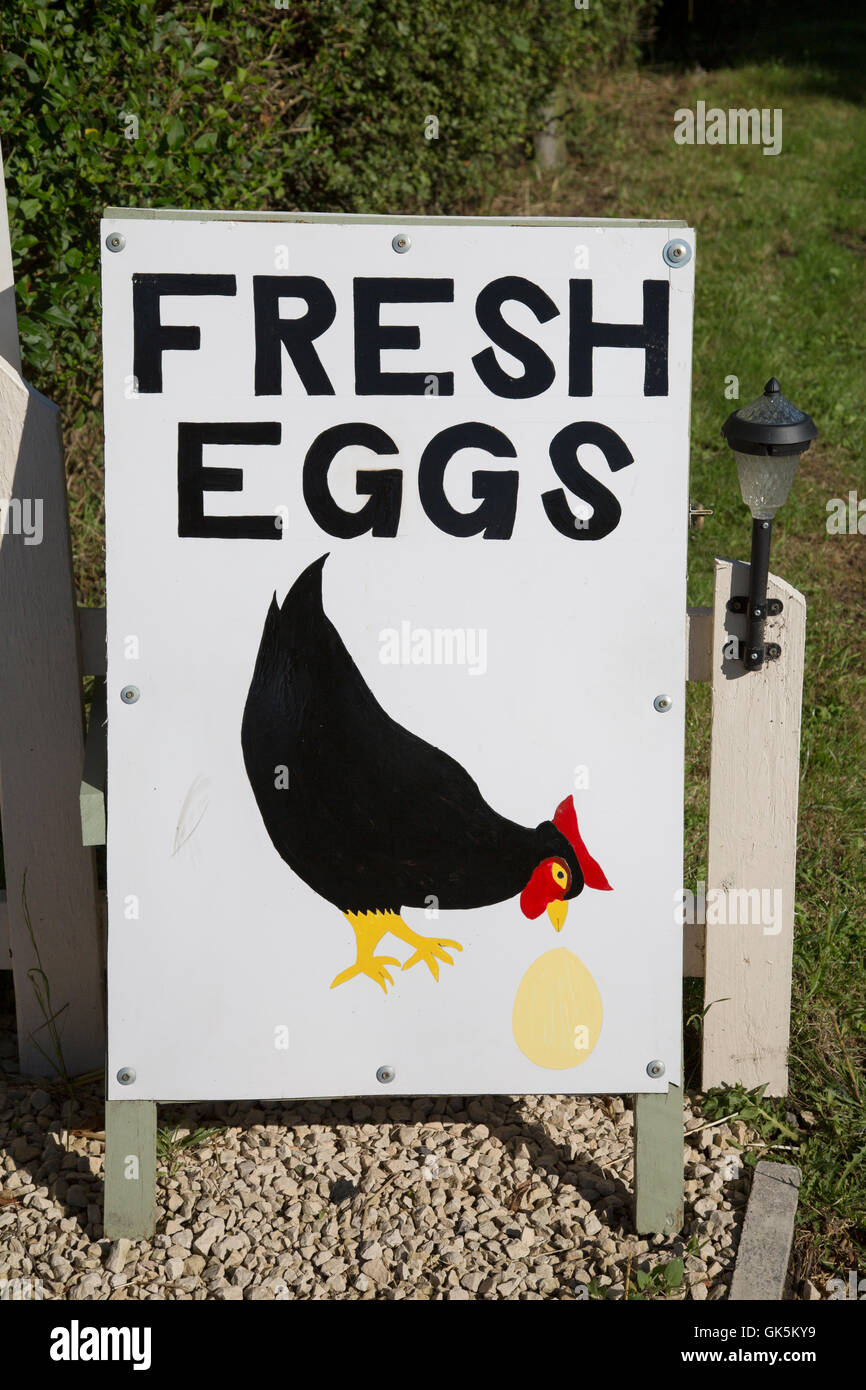 Frischen Freilandhaltung Ei Schild am Zaun Stockfoto