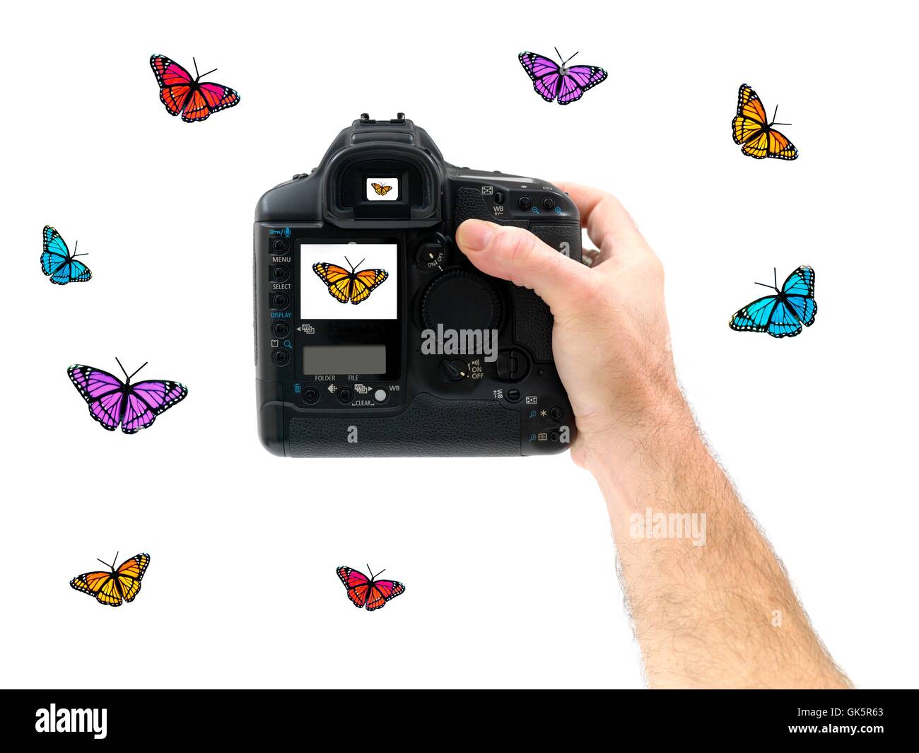 Glas-Kelch-Becher Stockfoto