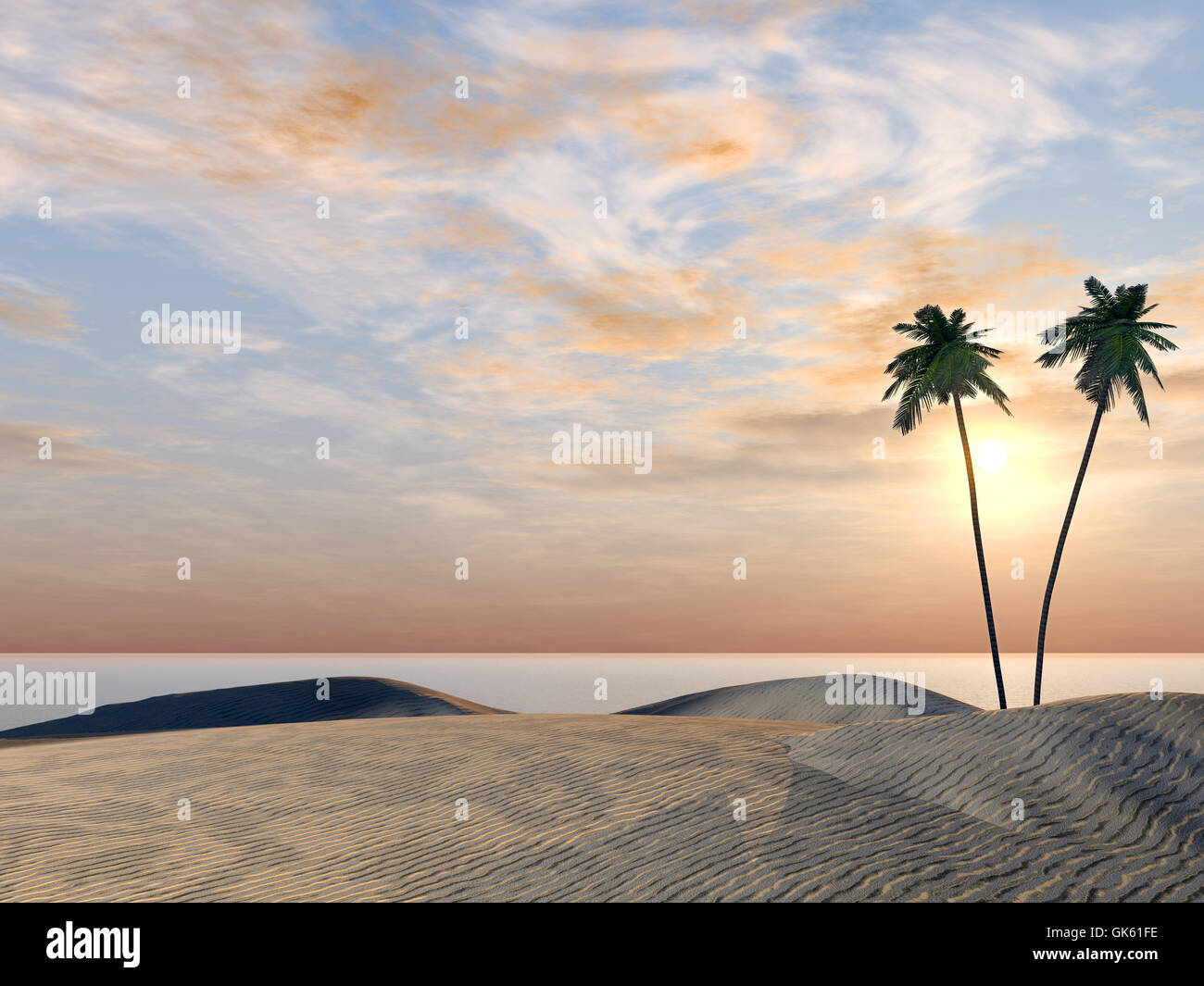 Palmen an der Küste des Ozeans Stockfoto