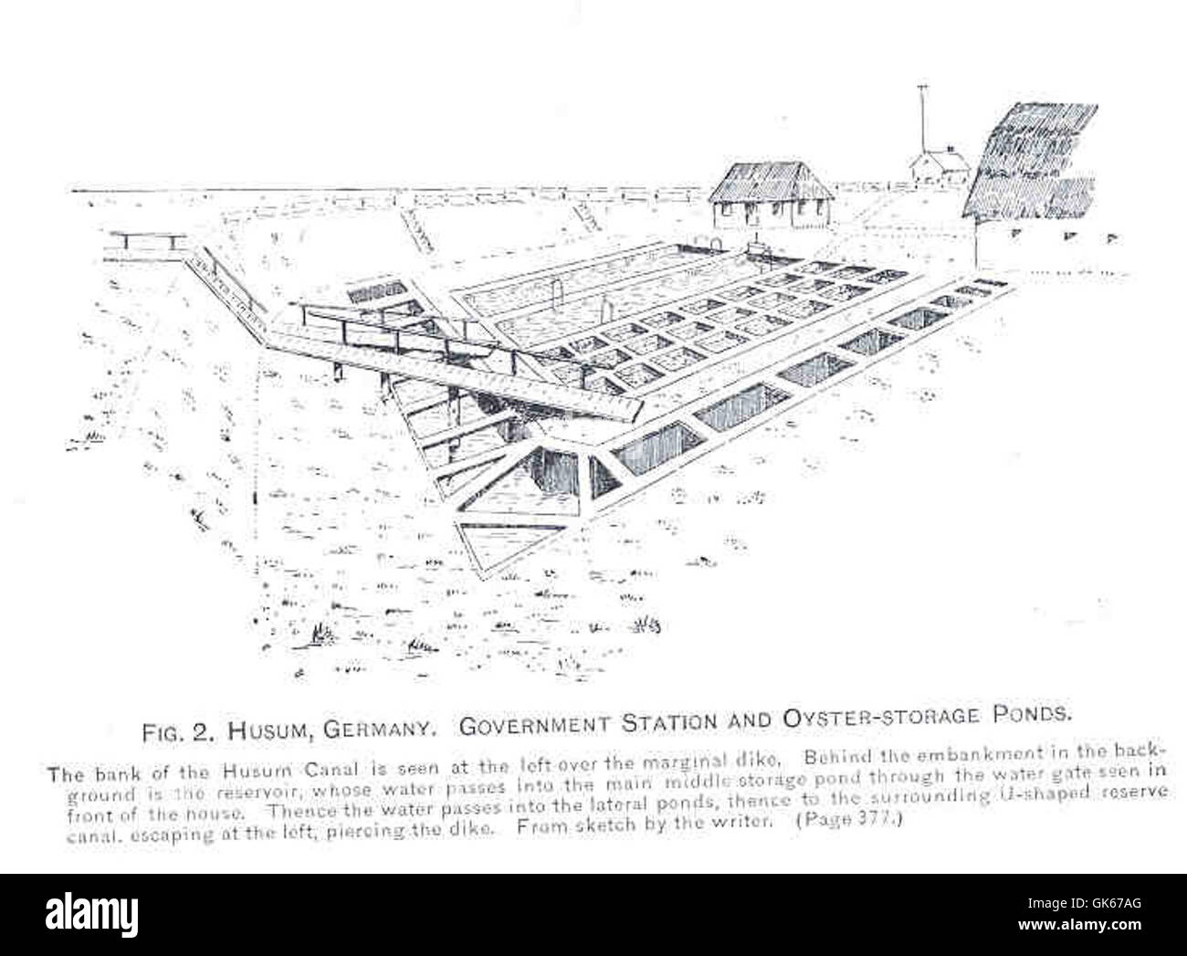 34328 Husum, Deutschland Regierungsstation und Oyster-Storage-Teiche Stockfoto