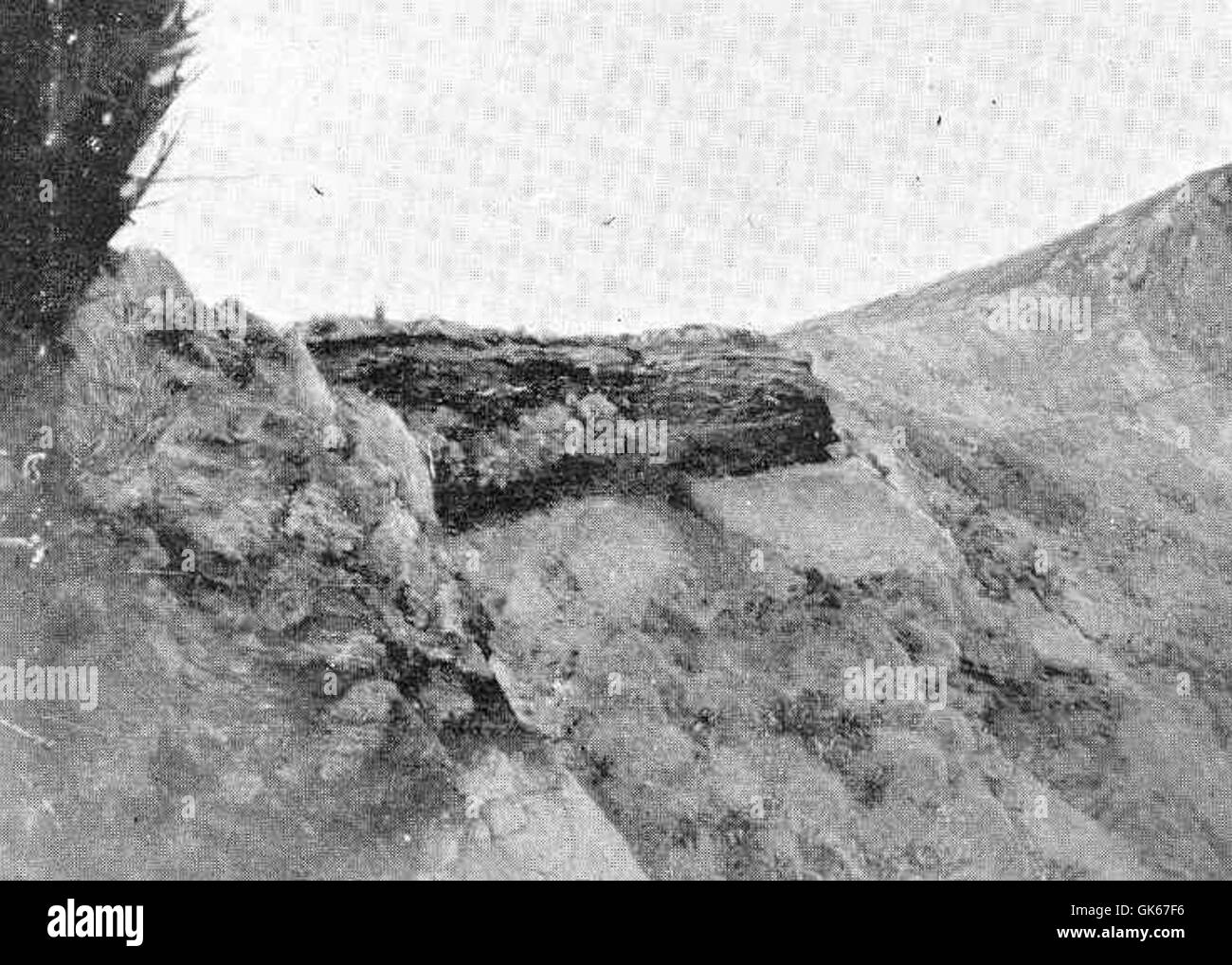 50796 Torf 8 Ft dick, ruht auf Breccia, zwischen Mount Paris und Mount Dumas, Campbell Island Stockfoto