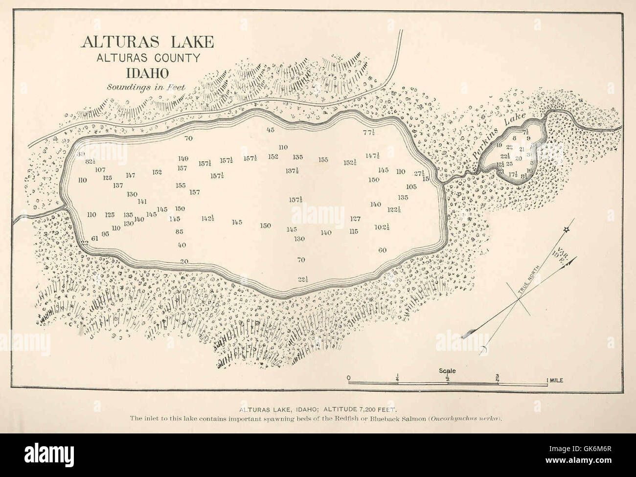 39940 Alturas See, Idaho - Höhe 7.200 Fuß der Einlass zu diesem See enthält wichtige laichen Betten der Rotbarsch oder Blueback Stockfoto