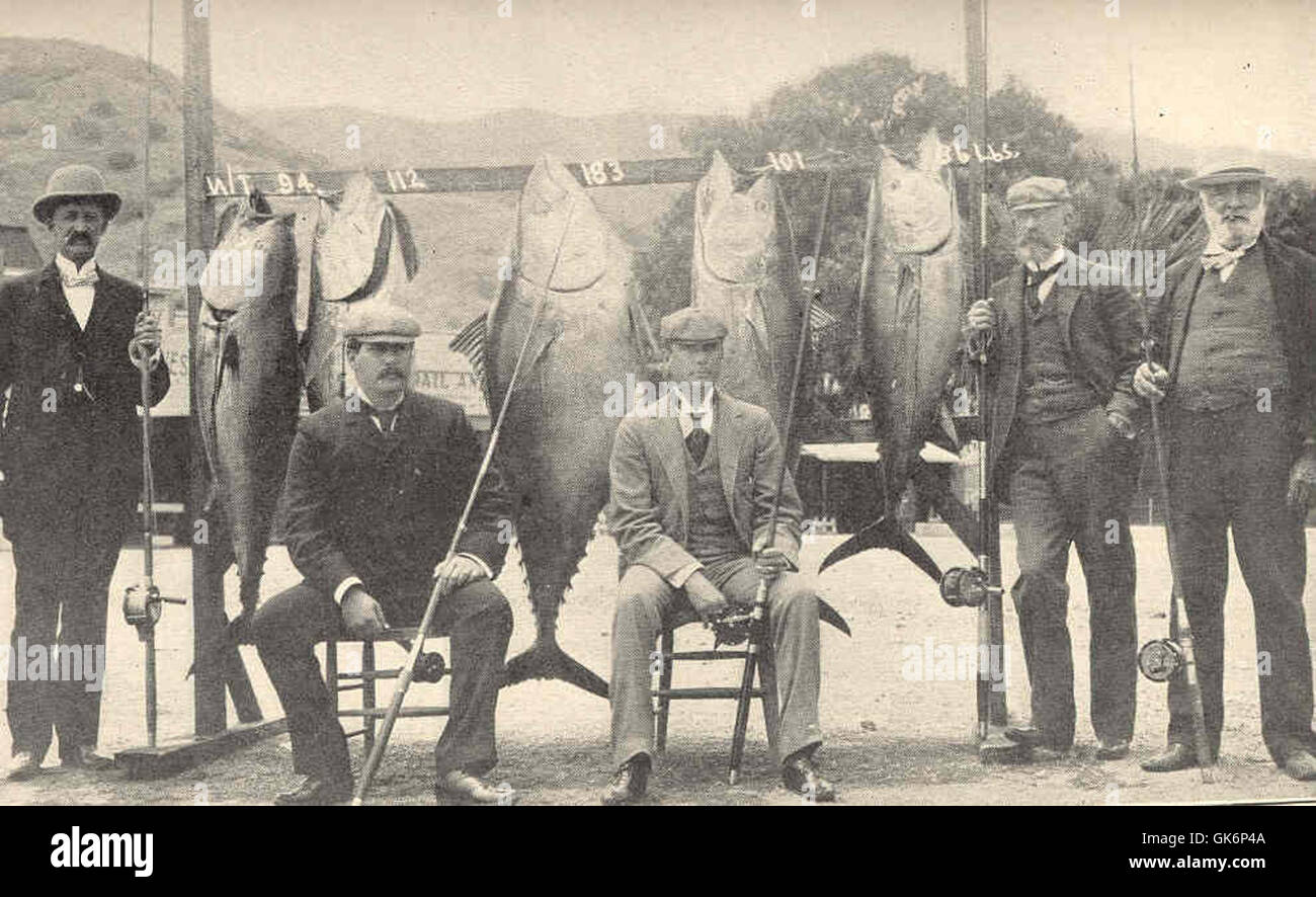 Die ursprünglichen Mitglieder des von Charles F. Holder gegründeten Thunfisch-Clubs werden mit ihren Rekordfischen gezeigt. Holder war eine Schlüsselfigur in der Geschichte der Sportfischerei, insbesondere im Thunfischfang. Stockfoto