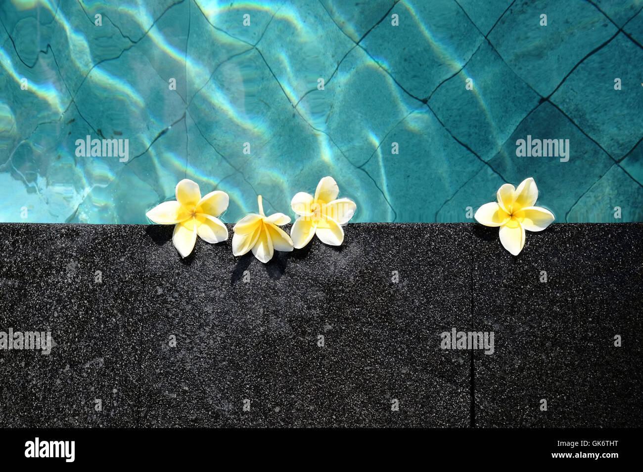 Frangipani Blüten schweben in einem Schwimmbad in Bali Stockfoto