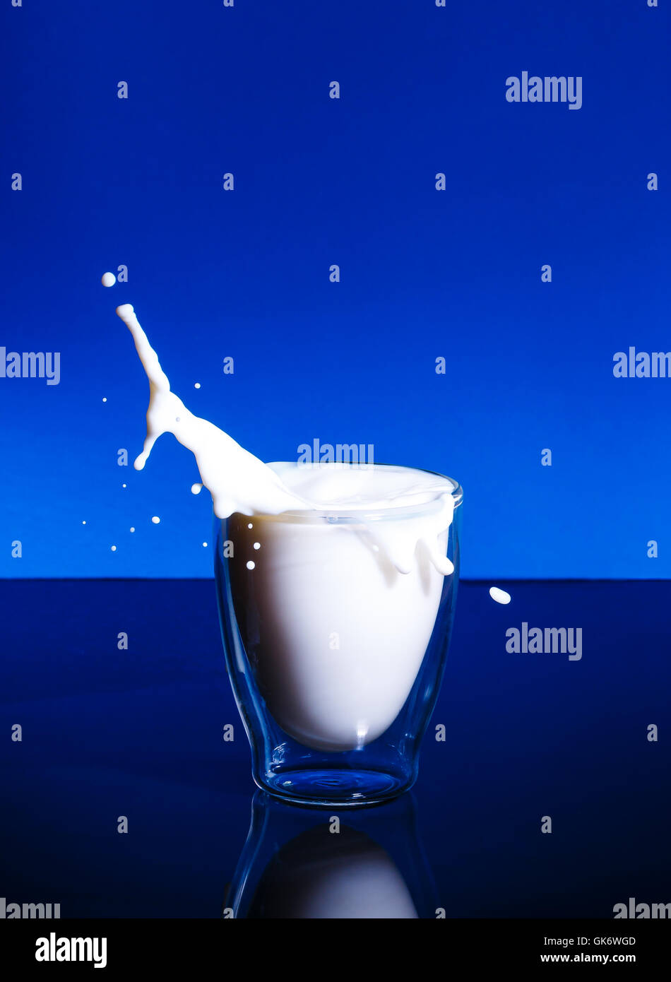 Milch spritzt aus Glas auf einem blauen Hintergrund mit Reflexion Stockfoto