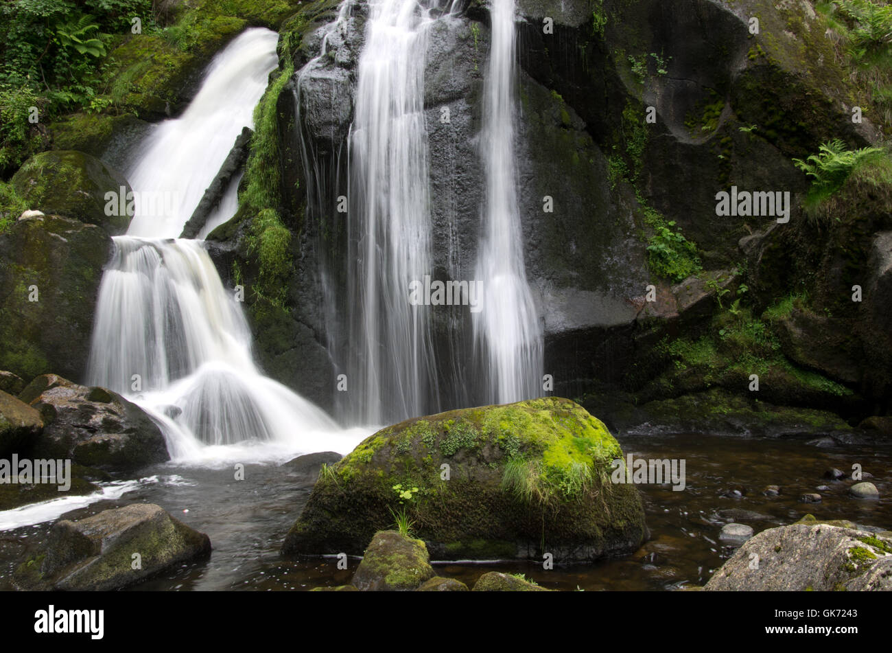 fließend Stamm Wasserfall Stockfoto