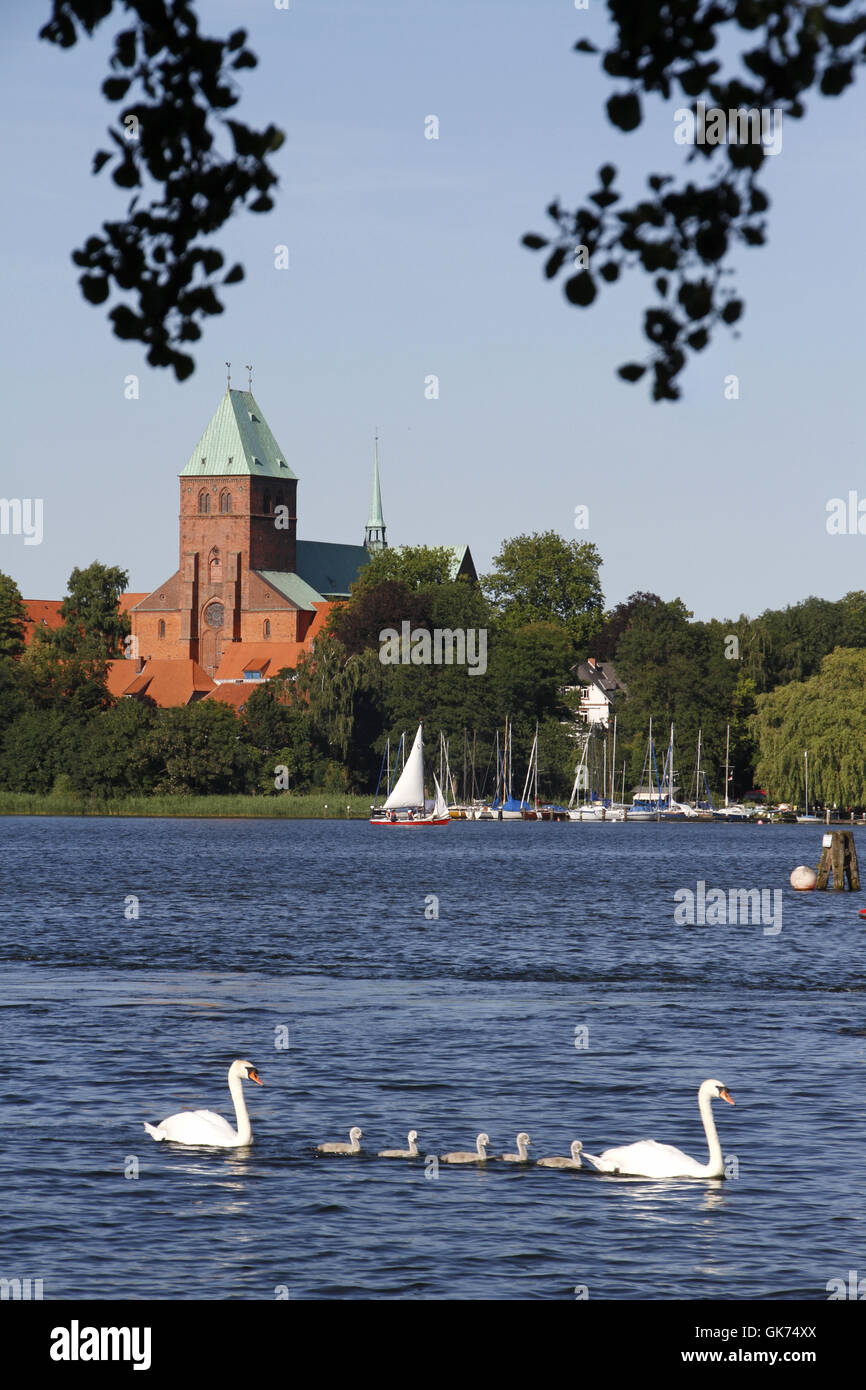 Ratzeburger See mit dom Stockfoto