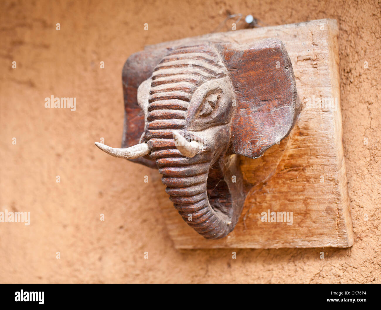 wilde Elefanten in Afrika Stockfoto
