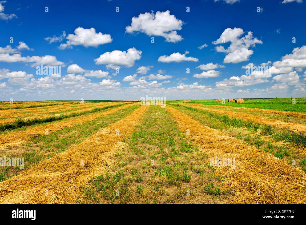 Landwirtschaft Landwirtschaft Landwirtschaft Stockfoto