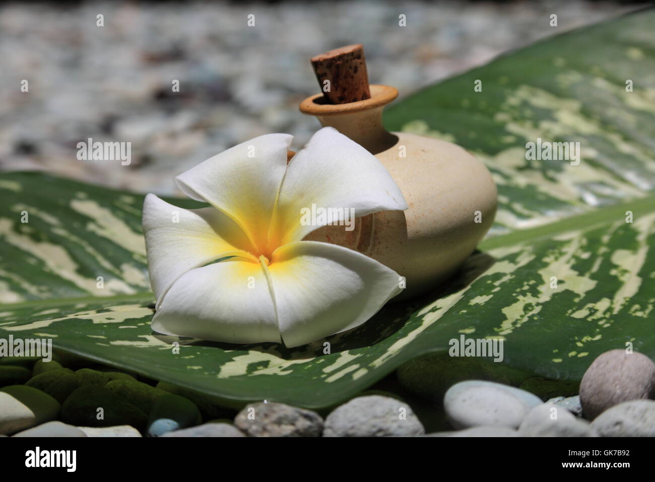 Massage-Öl Stockfoto
