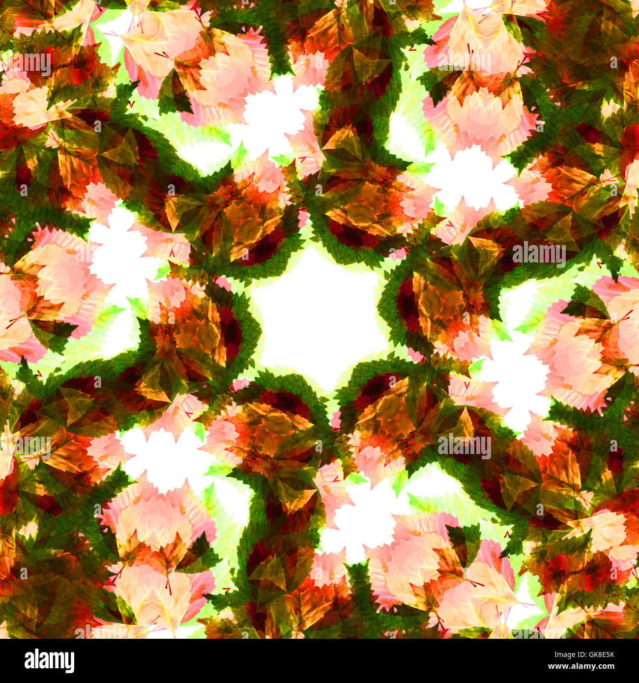 Kaleidoskop-Blatt Stockfoto