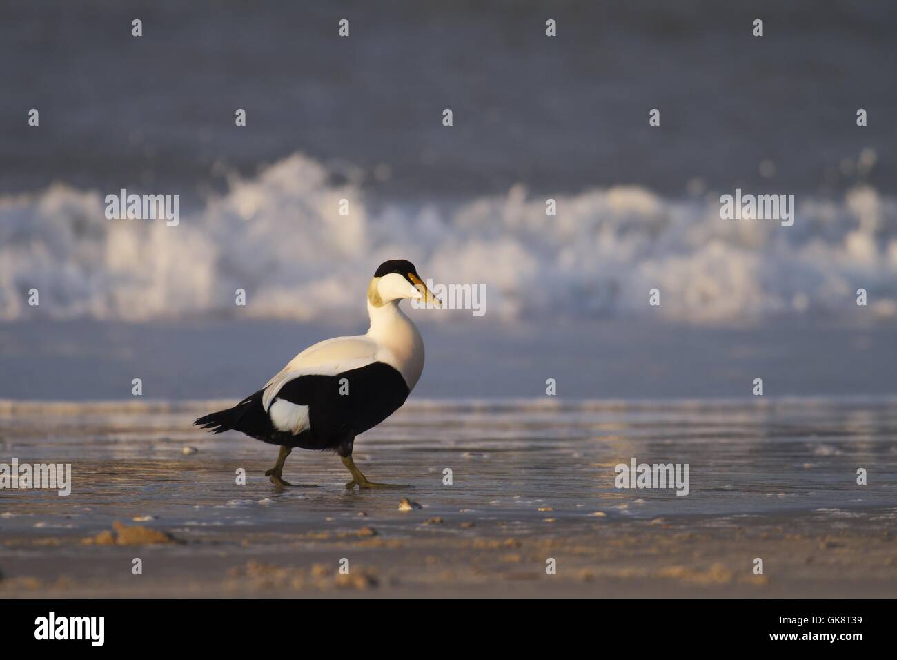 rekurriert spazieren gehen Stockfoto