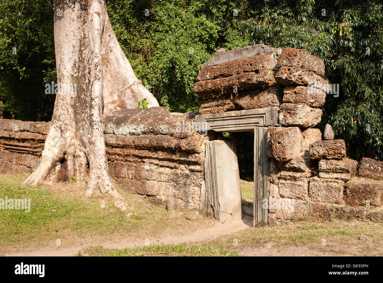 Angkor Wat und andere Tempel rund um Stockfoto