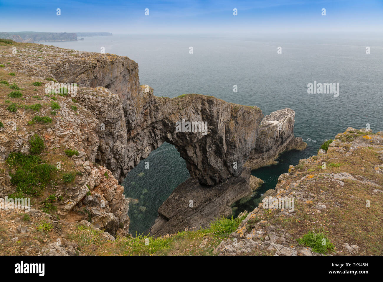 Grüne Brücke von Wales, ein natürlicher Bogen in Pembrokeshire Coast National Park, Wales, Großbritannien Stockfoto