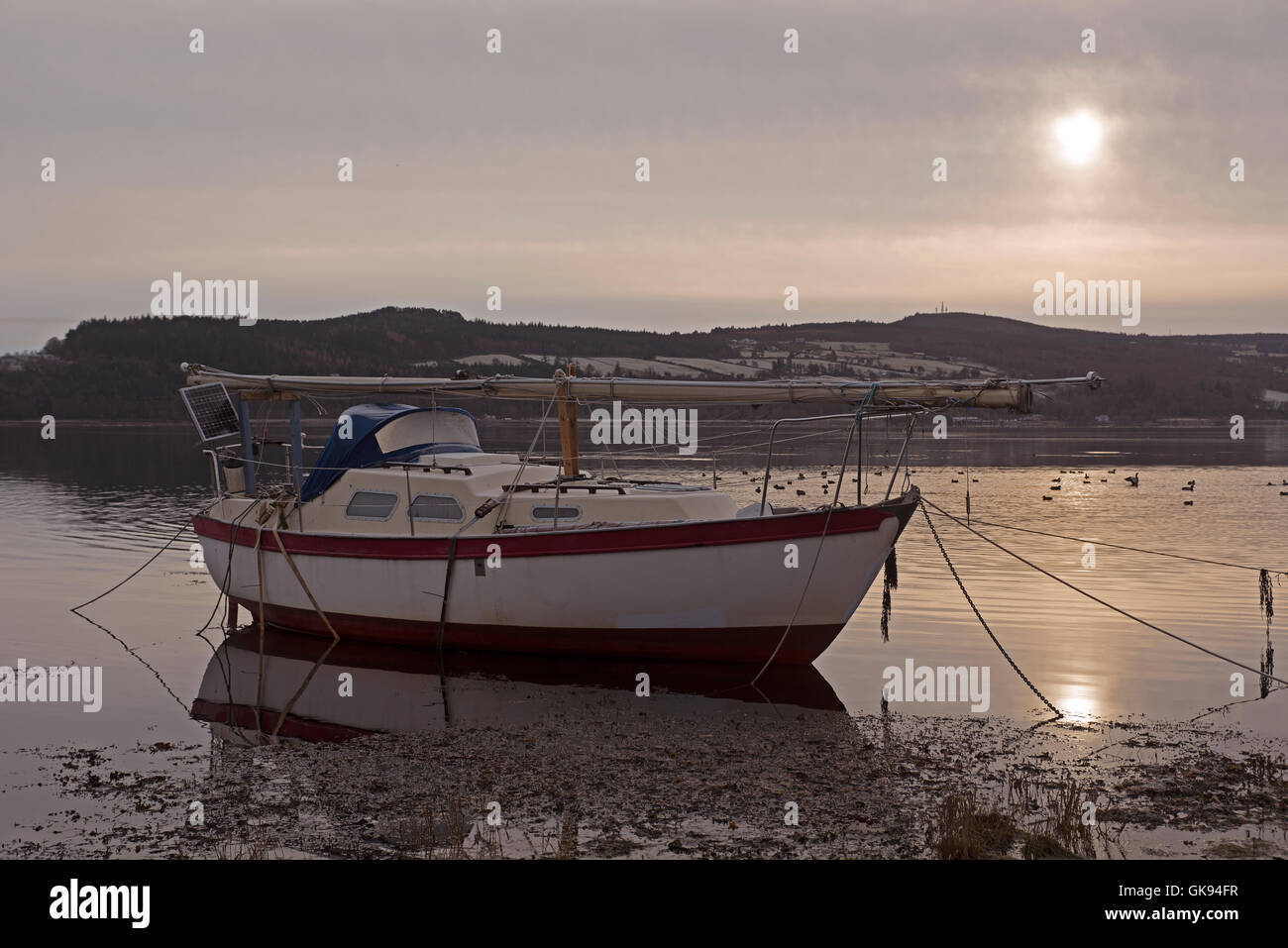 Kleines Boot festgemacht an einem Winter-Morgen auf schottischen Highland Region Beauly Firth, Inverness-Shire.  SCO 11.170. Stockfoto