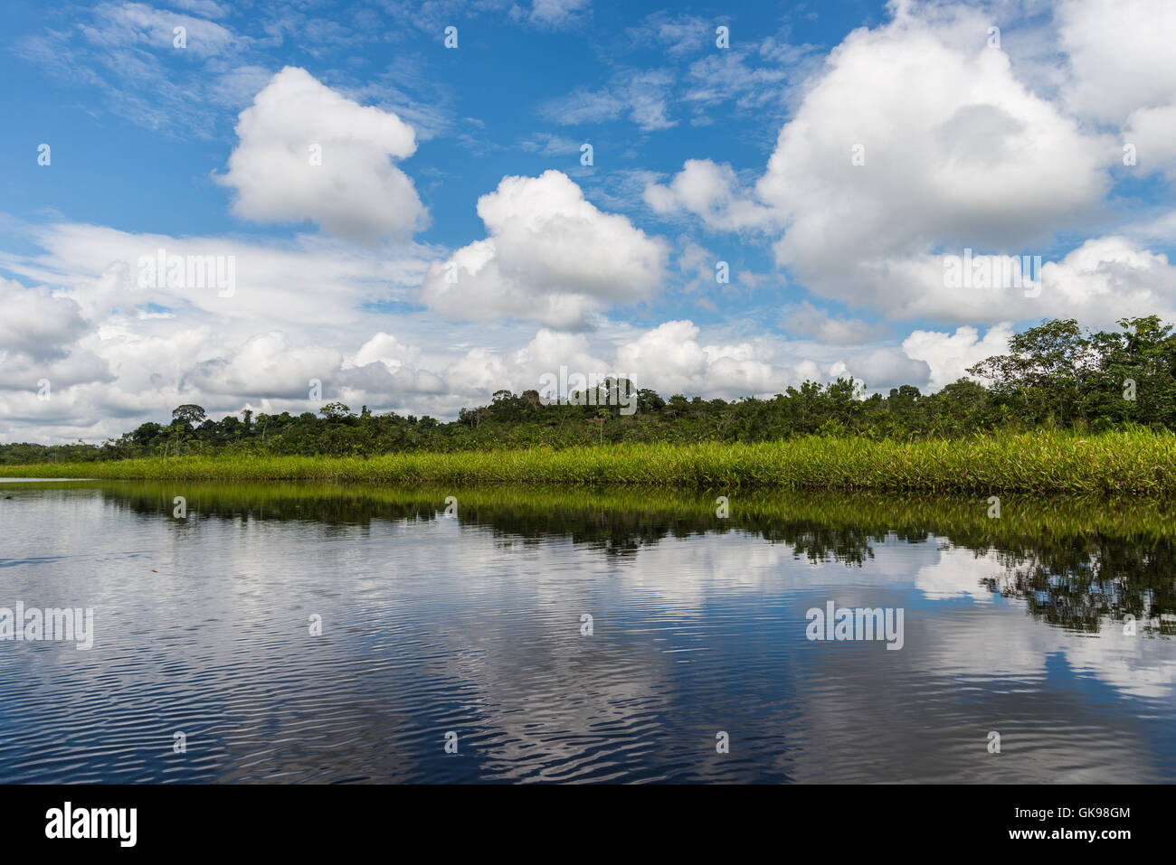 Blauer Himmel spiegelt sich in dem ruhigen Wasser in der Amazonen. Yasuni-Nationalpark in Ecuador, Südamerika. Stockfoto