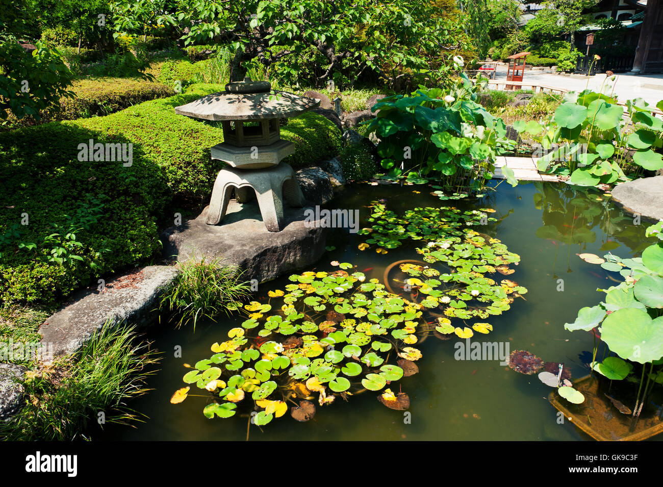Park Garten Japanisch Stockfoto