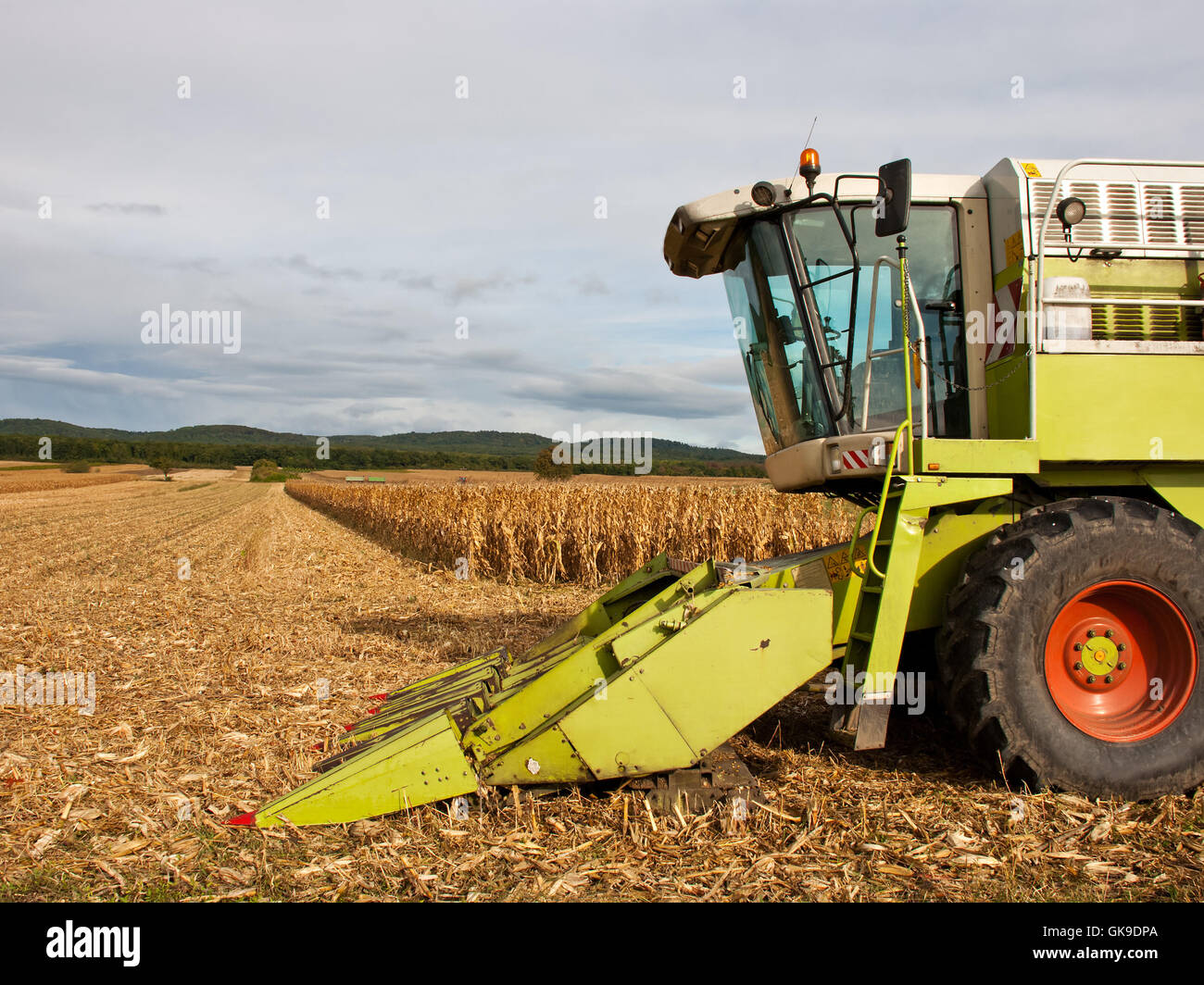 Mähdrescher ernten Stockfoto