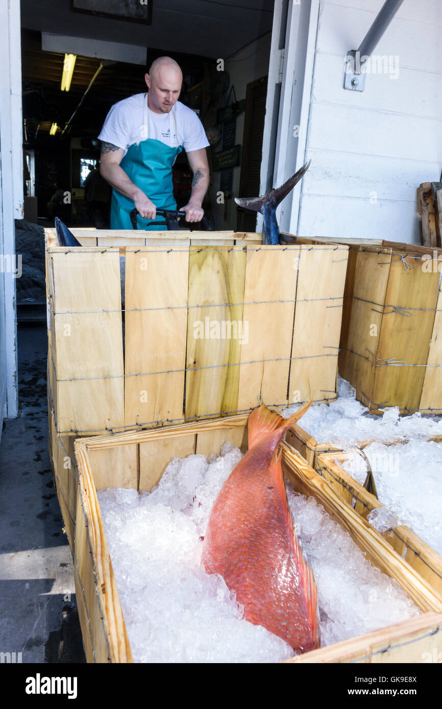 Florida Golf von Mexiko, Cortez, historisches Fischerdorf, Star Fish Company, Restaurant Restaurants Essen Essen Café Cafés, am Wasser, Meeresfrüchte, Einzelhandel Marke Stockfoto