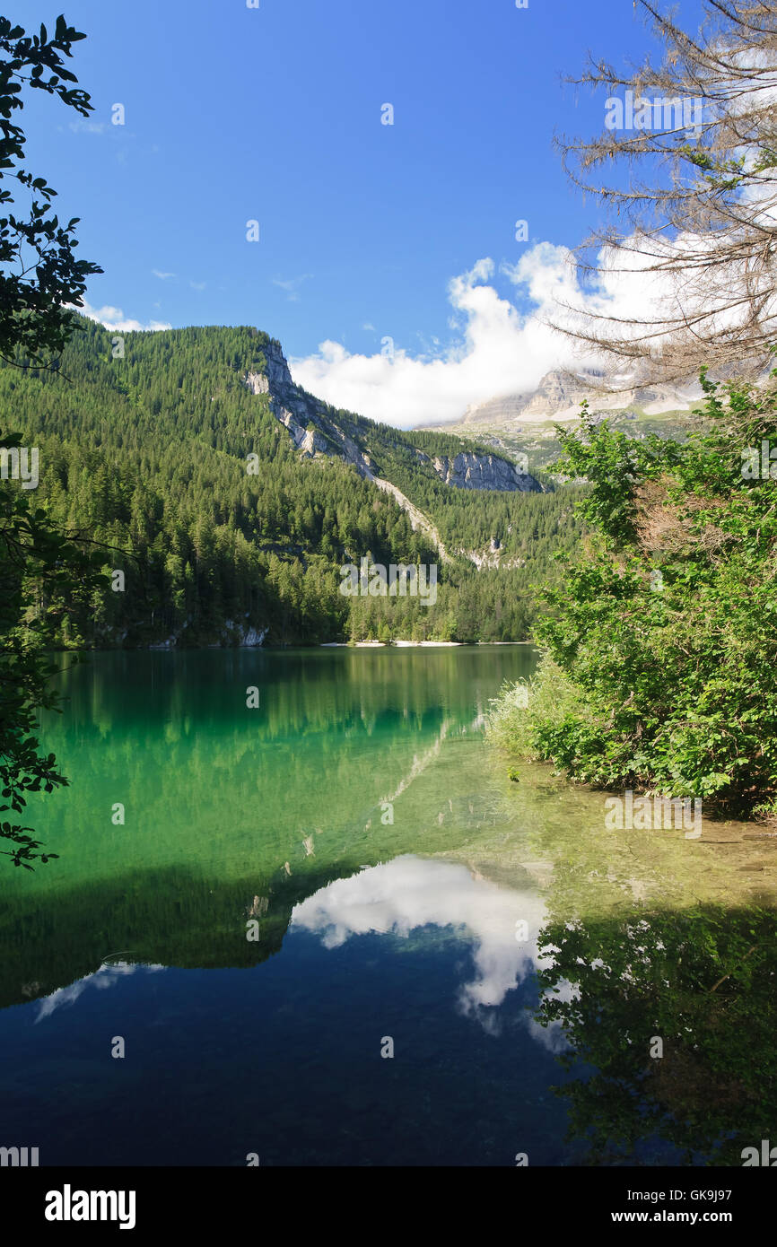 Alpen Sommer sommerlich Stockfoto
