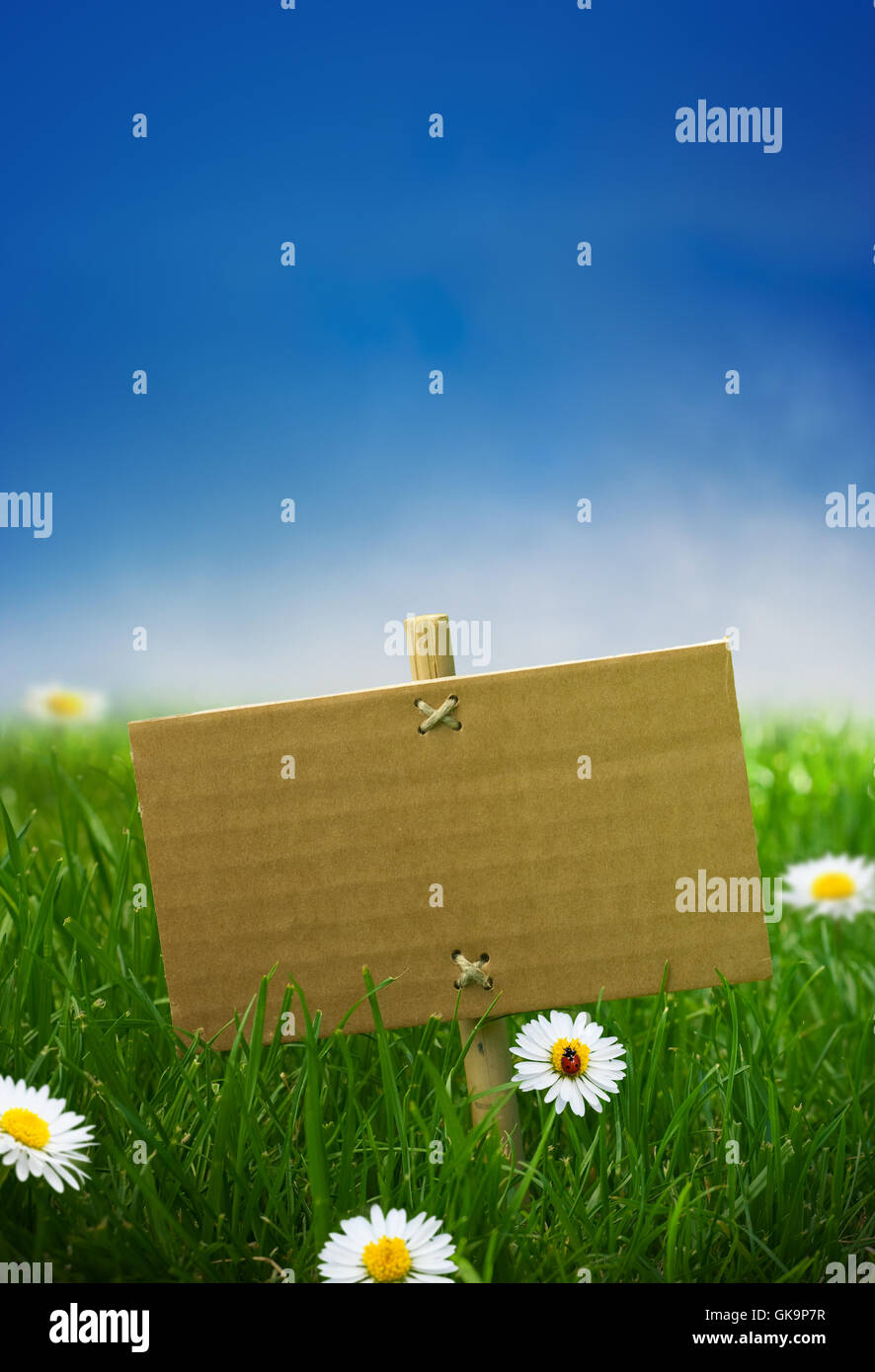 Blue Board ECO Stockfoto