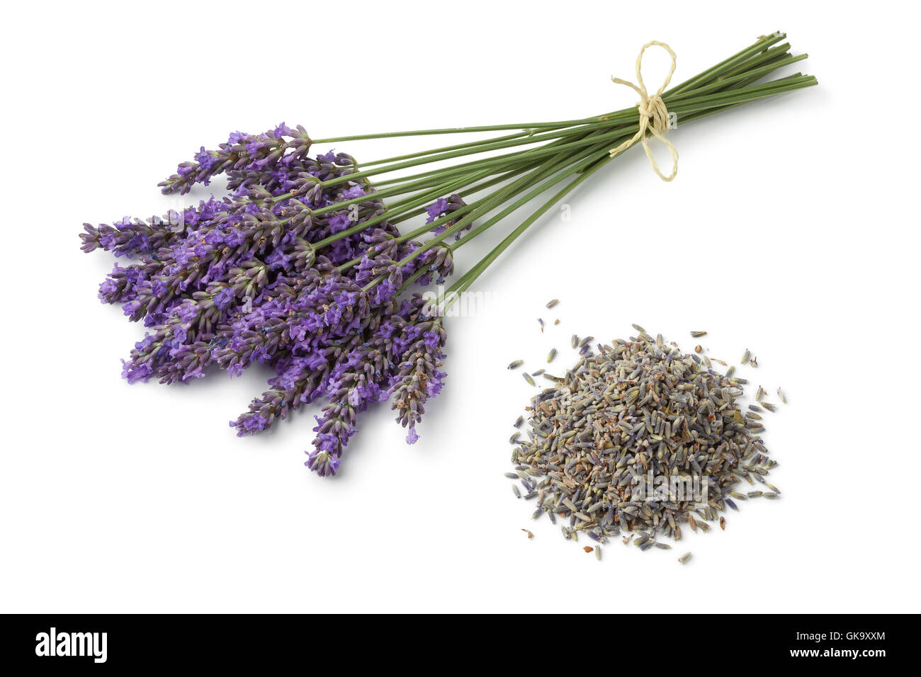 Frisch Lila Lavendel und getrockneten Blumen auf weißem Hintergrund Stockfoto