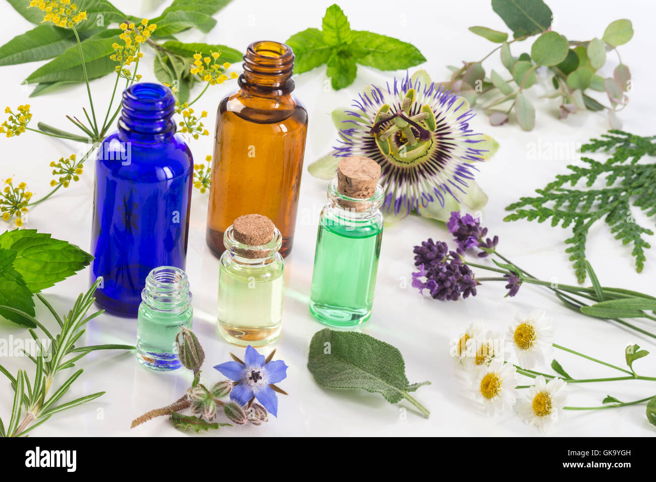 Medizinische Pflanzen und Blumen-Auswahl, Pfefferminze, Passiflora,, Salbei, Thymian, Lavendel-Melisse mit einer Aromatherapie ätherische Öl-Glasflasche. Stockfoto