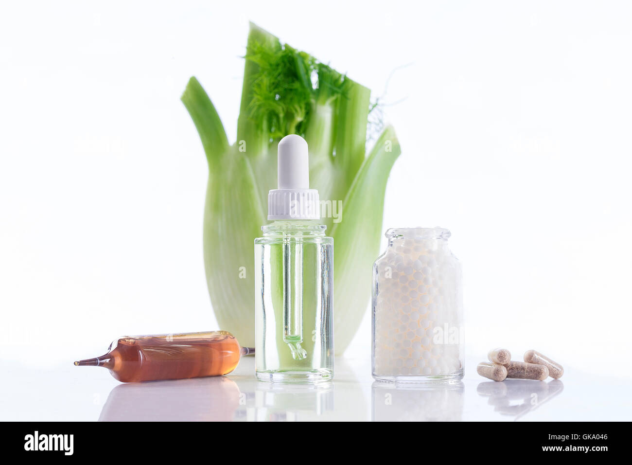 Fenchel-Pflanze Heilung Pflanzenheilkunde Stockfoto