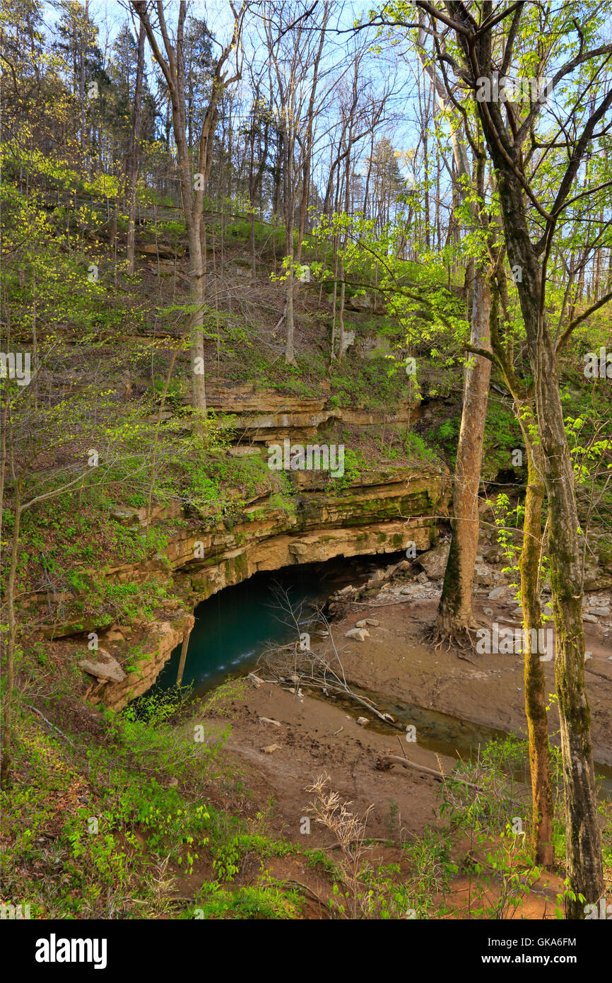 Fluß Styx Frühling, Fluss Styx Brunnenweg, Mammoth Cave National Park, Park City, Kentucky, USA Stockfoto