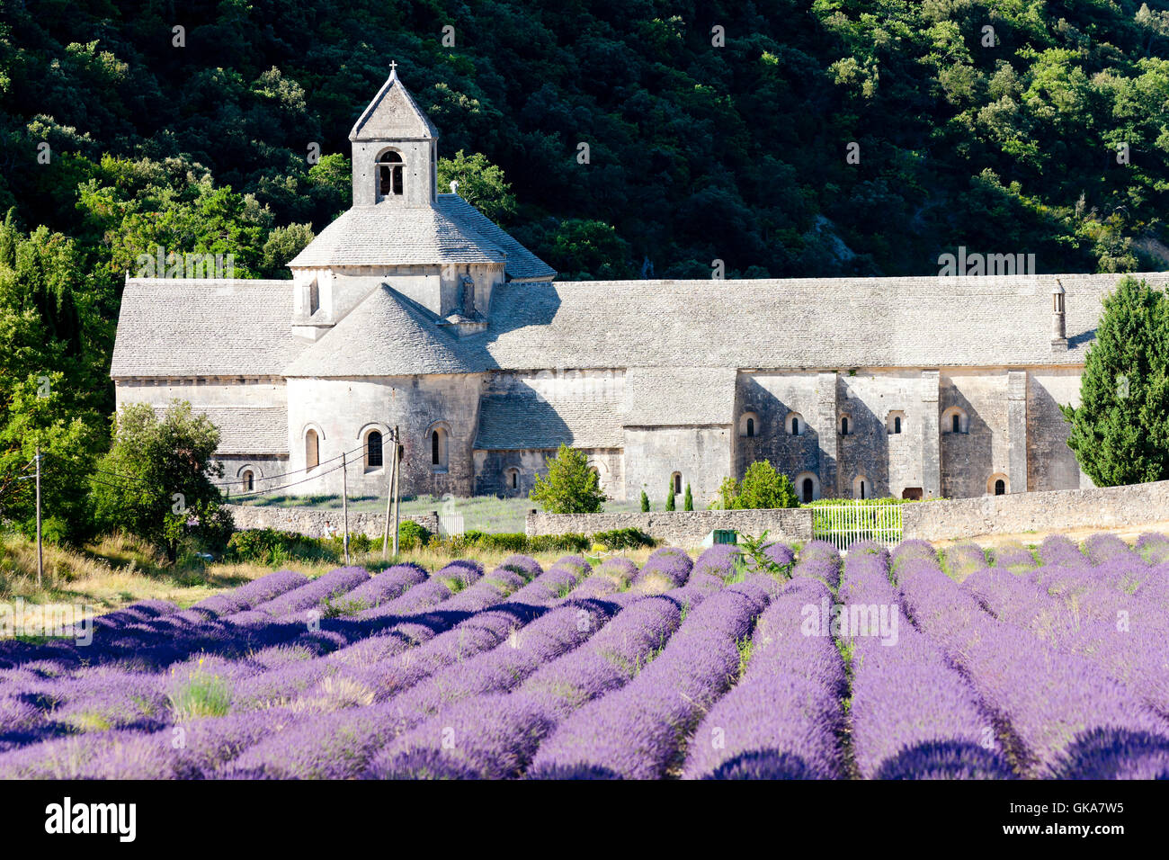 Europa Frankreich Abtei Stockfoto