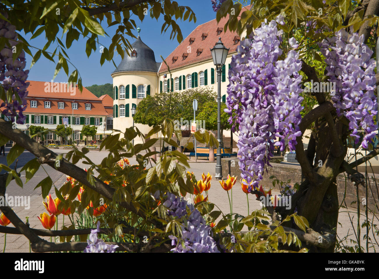 Schloss, bad bergzabern Stockfoto