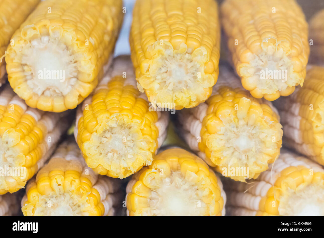 Gekochten Mais auf einem Maiskolben auf dem Oktoberfest Stockfoto