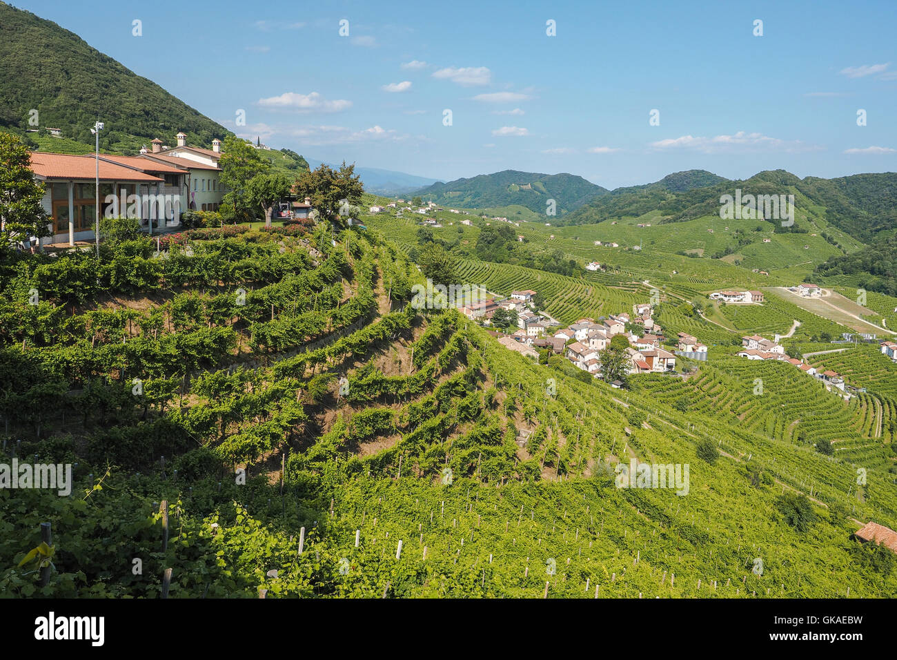 Kleine Stadt von Valdobbiadene, umgeben von Weinbergen, Zone der Produktion von traditionellen italienischen weißen Sekt Prosecco Stockfoto