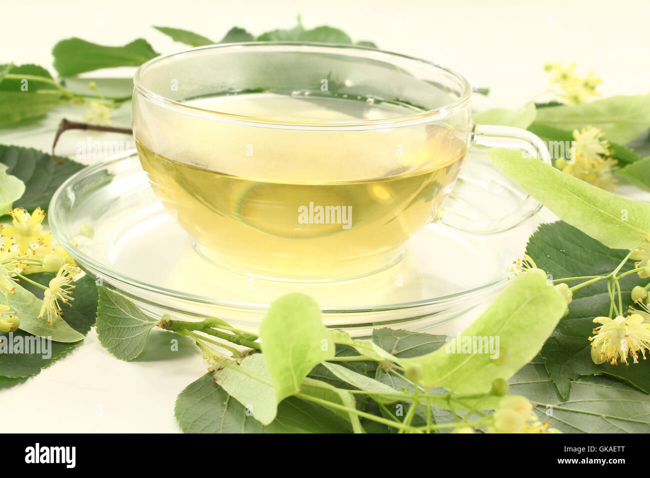 frische heiße Linden Tee mit Lindenblüten und Blätter Stockfoto