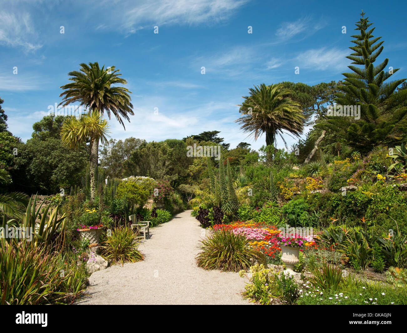 Tresco Abtei Gärten in den Isles of Scilly, Cornwall England UK. Stockfoto