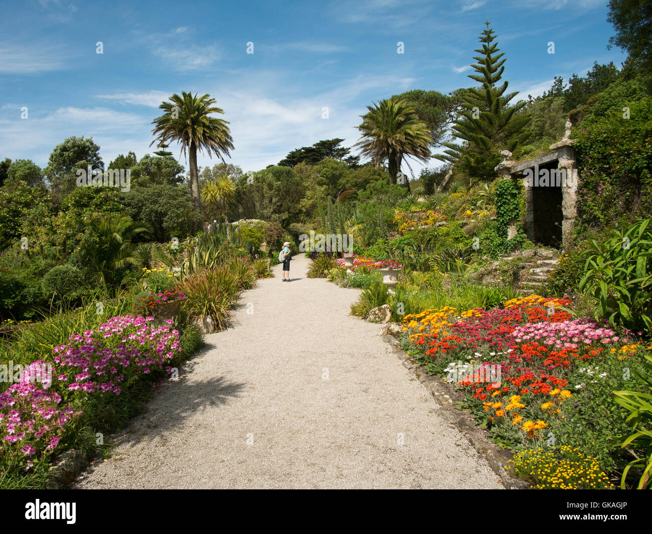 Tresco Abtei Gärten in den Isles of Scilly, Cornwall England UK. Stockfoto