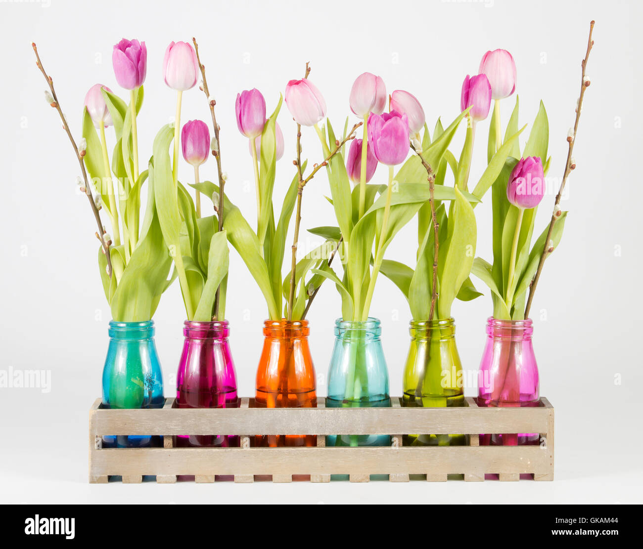 Rosane und Lilane Tulpen Stockfoto