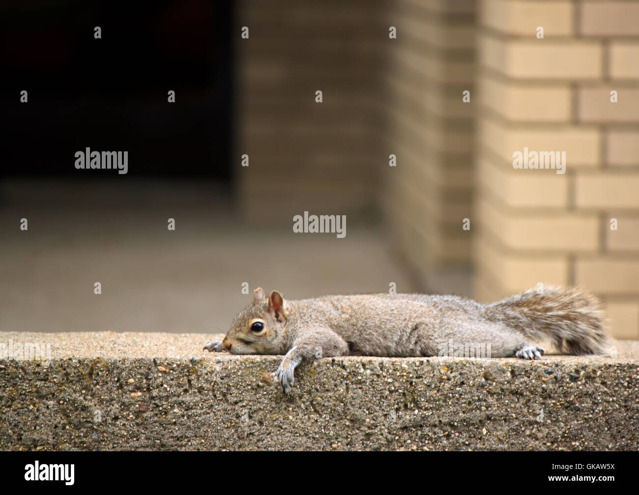 Stadtleben-Stadt Stockfoto