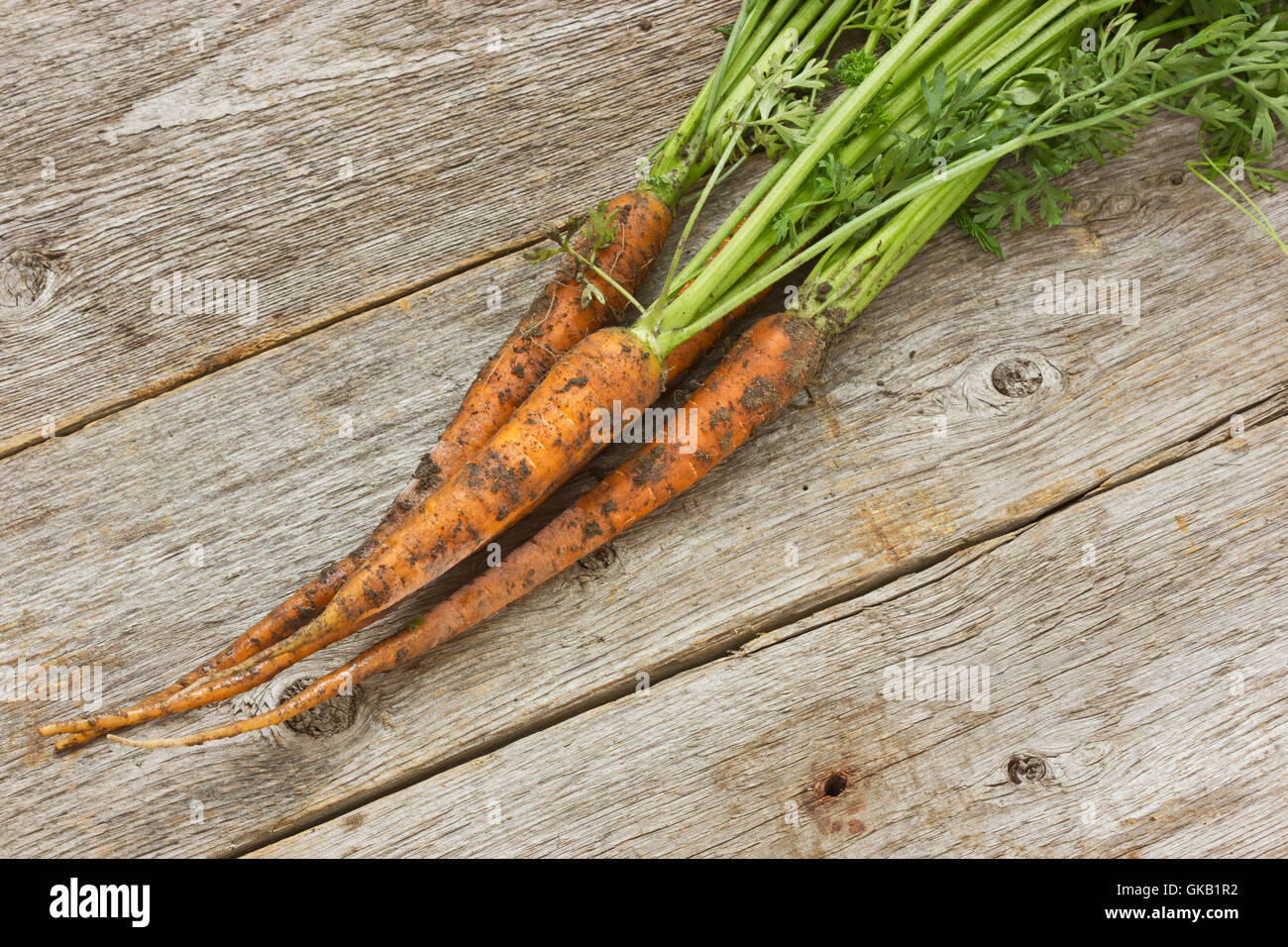 Lebensmittel-Nahrungsmittel-Landwirtschaft Stockfoto