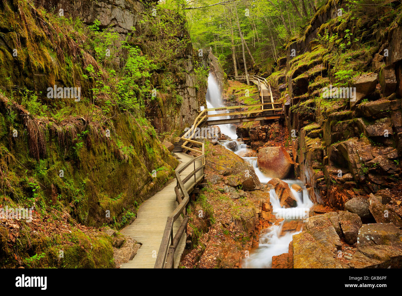 Die Schlucht bei der Flume, Franconia Notch State Park, Franconia Notch, New Hampshire, USA Stockfoto