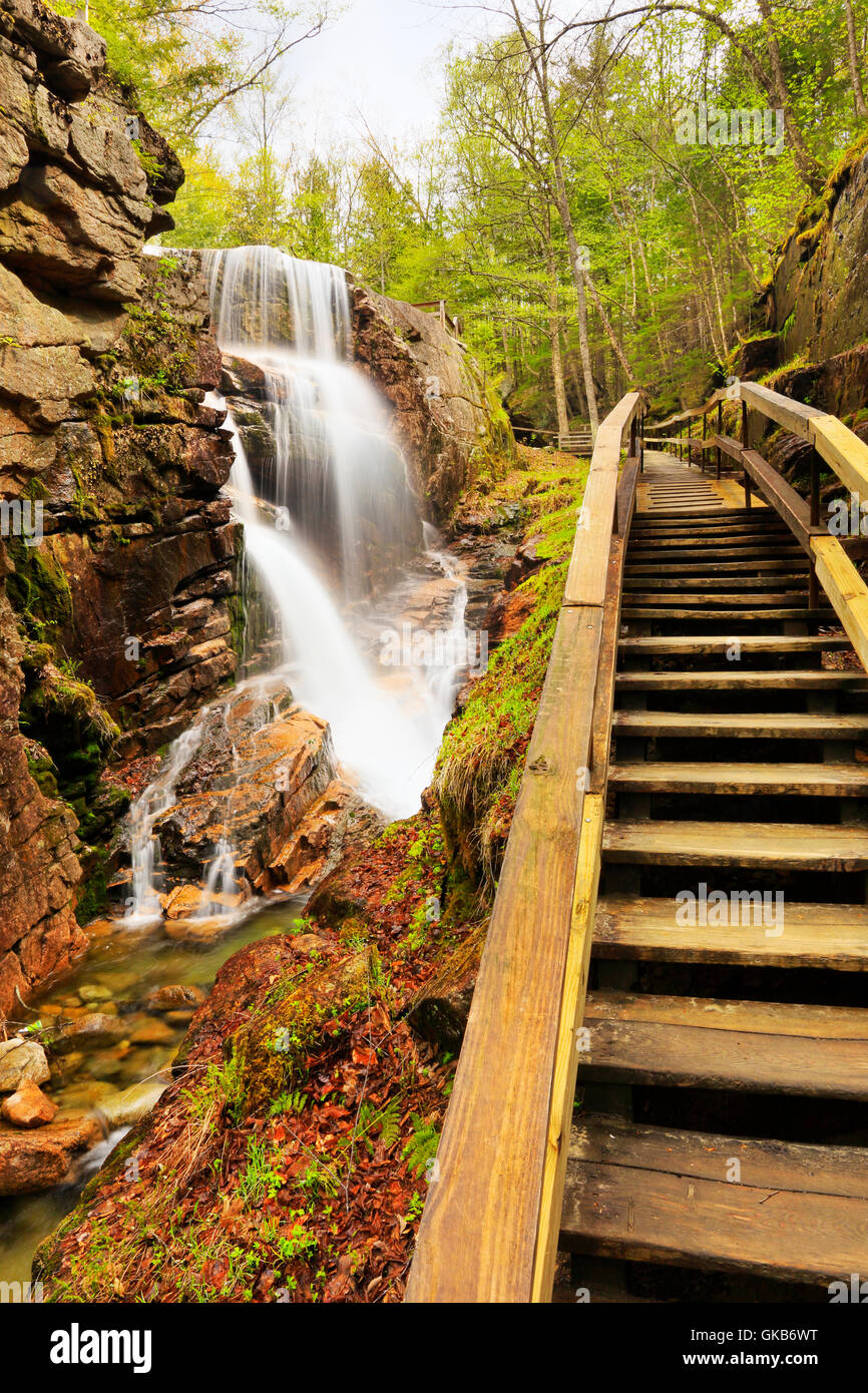 Die Schlucht bei der Flume, Franconia Notch State Park, Franconia Notch, New Hampshire, USA Stockfoto