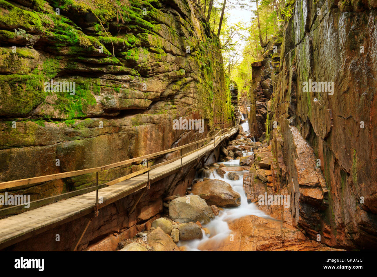 Die Schlucht bei der Flume, Franconia Notch State Park, Franconia Notch, New Hampshire, USA Stockfoto