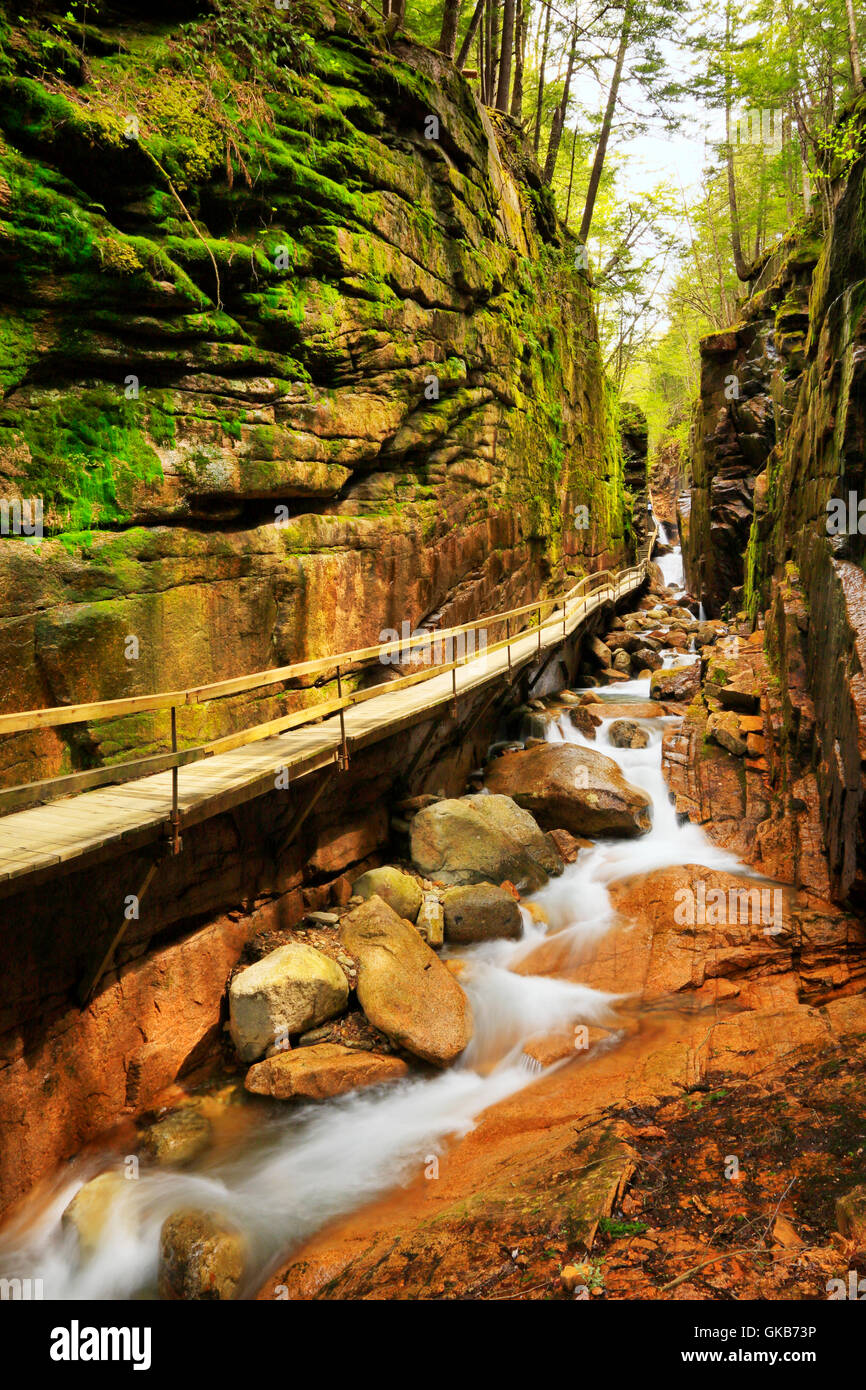 Die Schlucht bei der Flume, Franconia Notch State Park, Franconia Notch, New Hampshire, USA Stockfoto